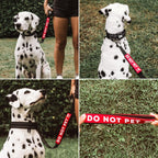 High visibility reactive dog leash warning accessory for outdoor walks