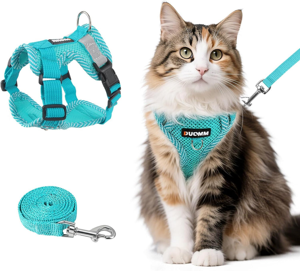 Complete Wanheart pet walking kit including emerald vest harness and matching leash