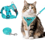 Complete Wanheart pet walking kit including emerald vest harness and matching leash