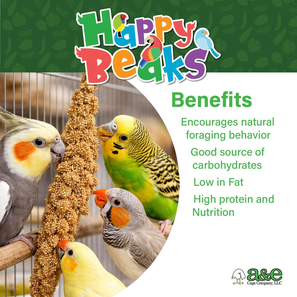 Budgie eating A&E Cage Company natural French spray millet