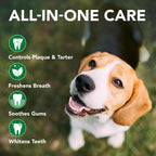 Vet's Best dog toothpaste tubes showing natural ingredients label