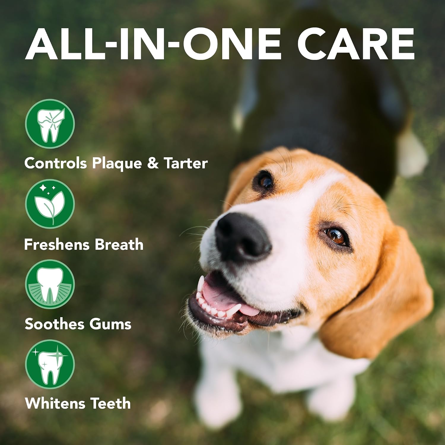 Vet's Best dog toothpaste tubes showing natural ingredients label