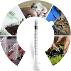 Detailed view of the clear scale increments on a premium leak-proof syringe for fine liquid dosing.