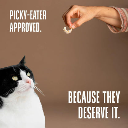 Premium healthy shrimp training snacks for cats with food allergies