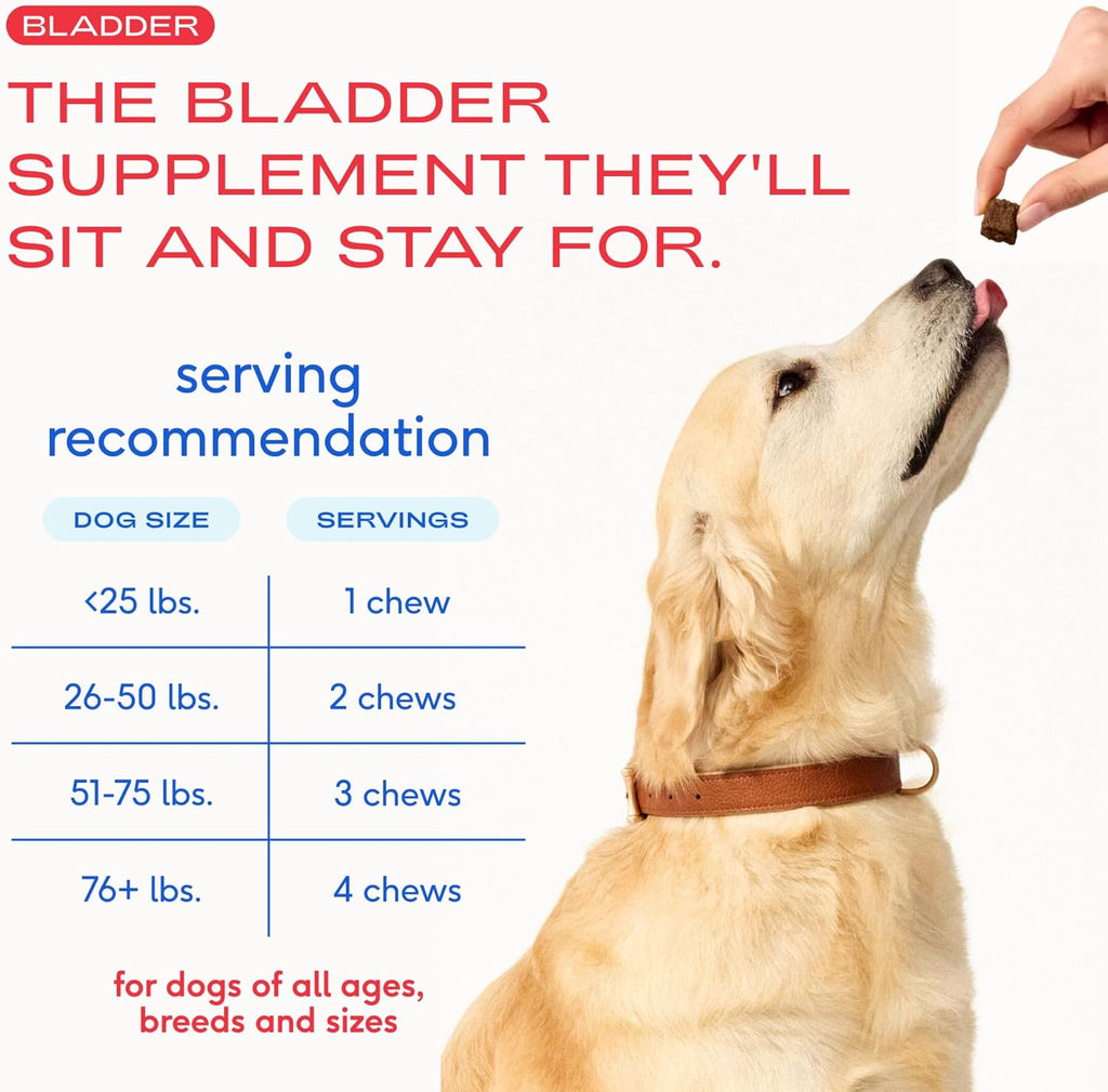 Premium Native Pet air dried bladder function chews displayed on a clean white background.