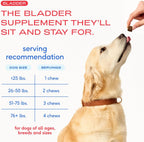 Premium Native Pet air dried bladder function chews displayed on a clean white background.