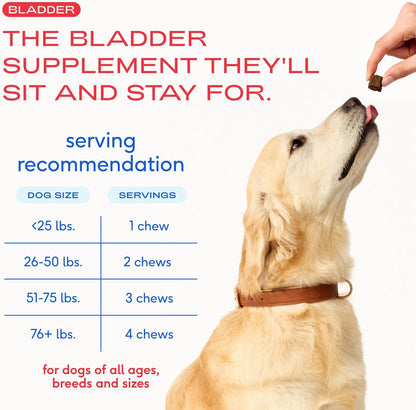 Premium Native Pet air dried bladder function chews displayed on a clean white background.
