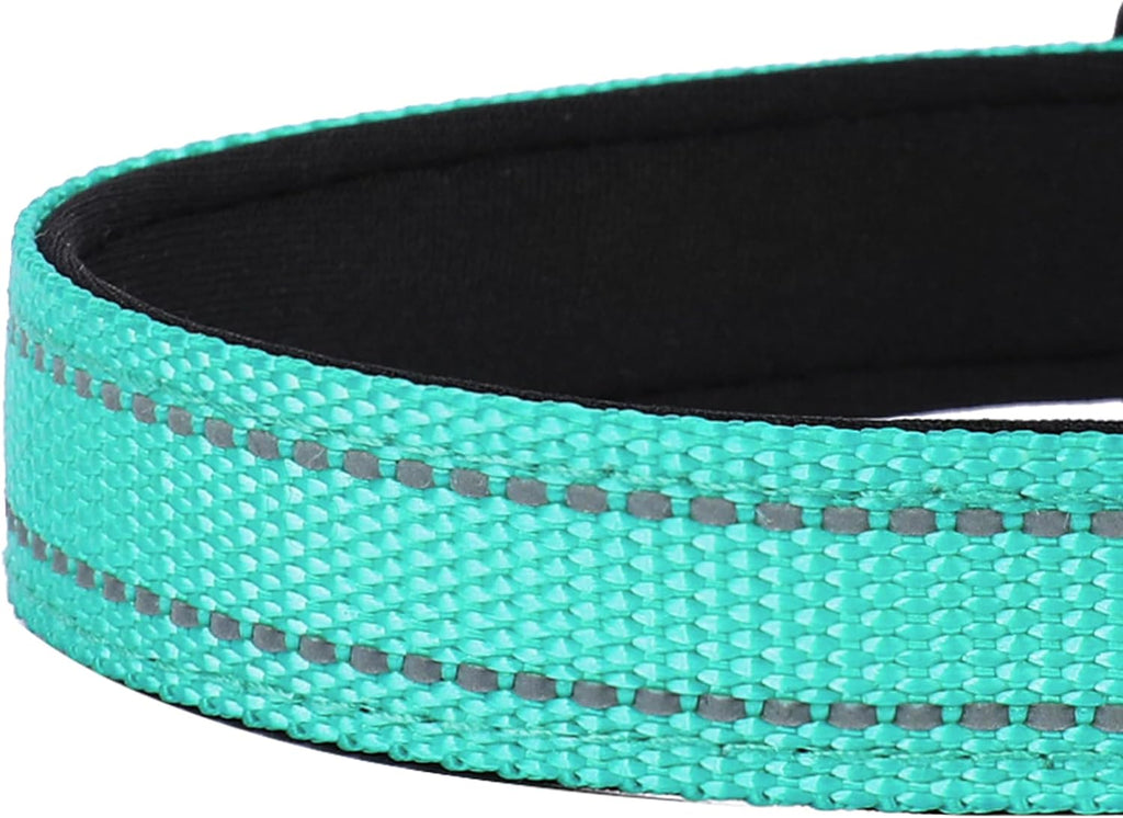 PWOD dog collar showing metal D-ring for leash attachment