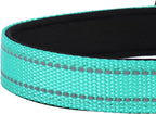 PWOD dog collar showing metal D-ring for leash attachment