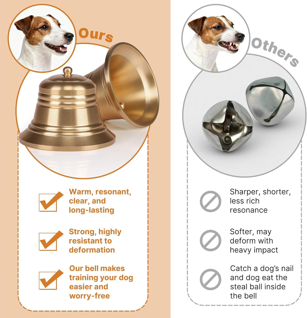 Puppy touching leather dog door bell with nose