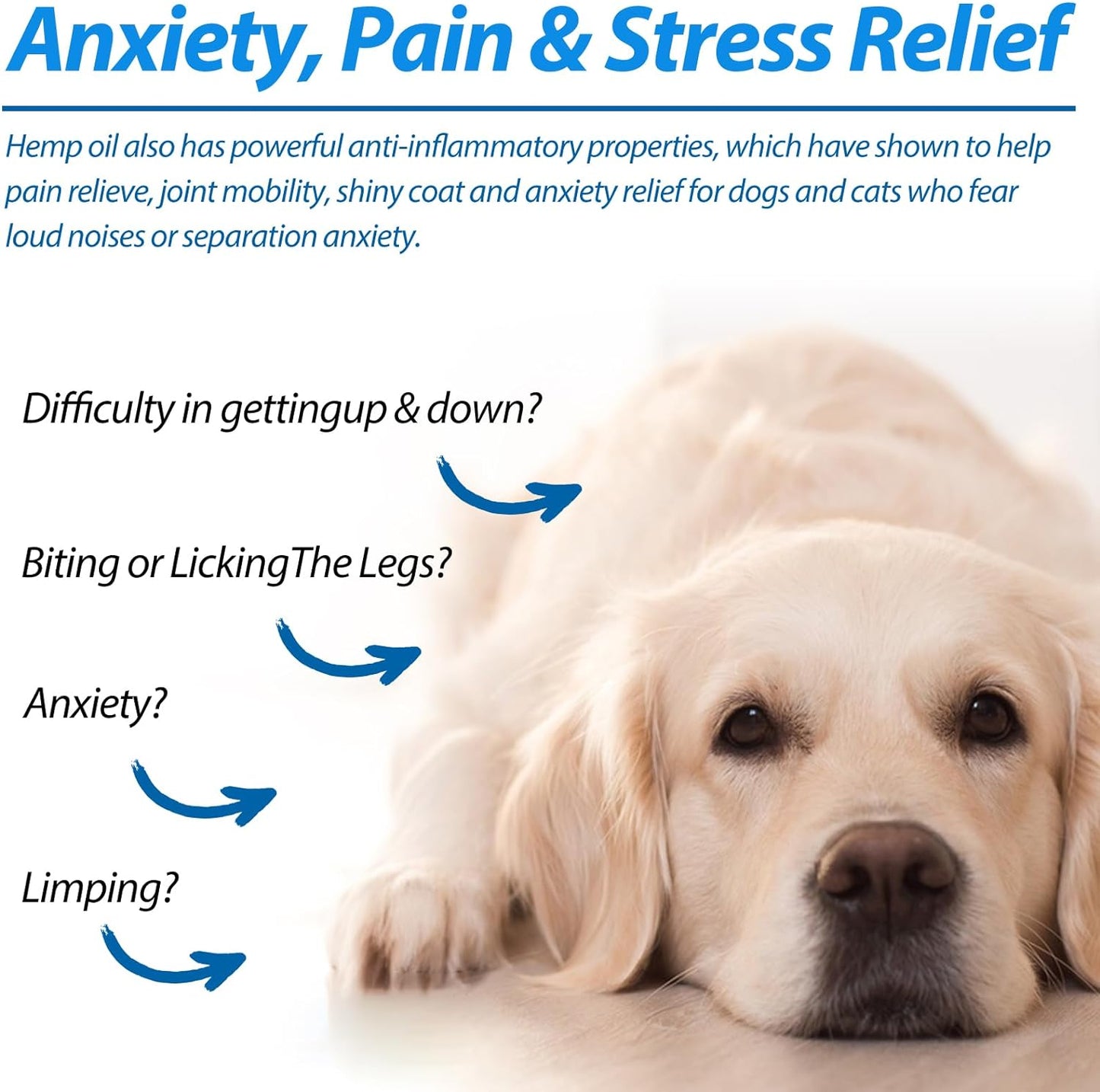 Premium USA imported pet oil for dog arthritis and anxiety relief next to dropper