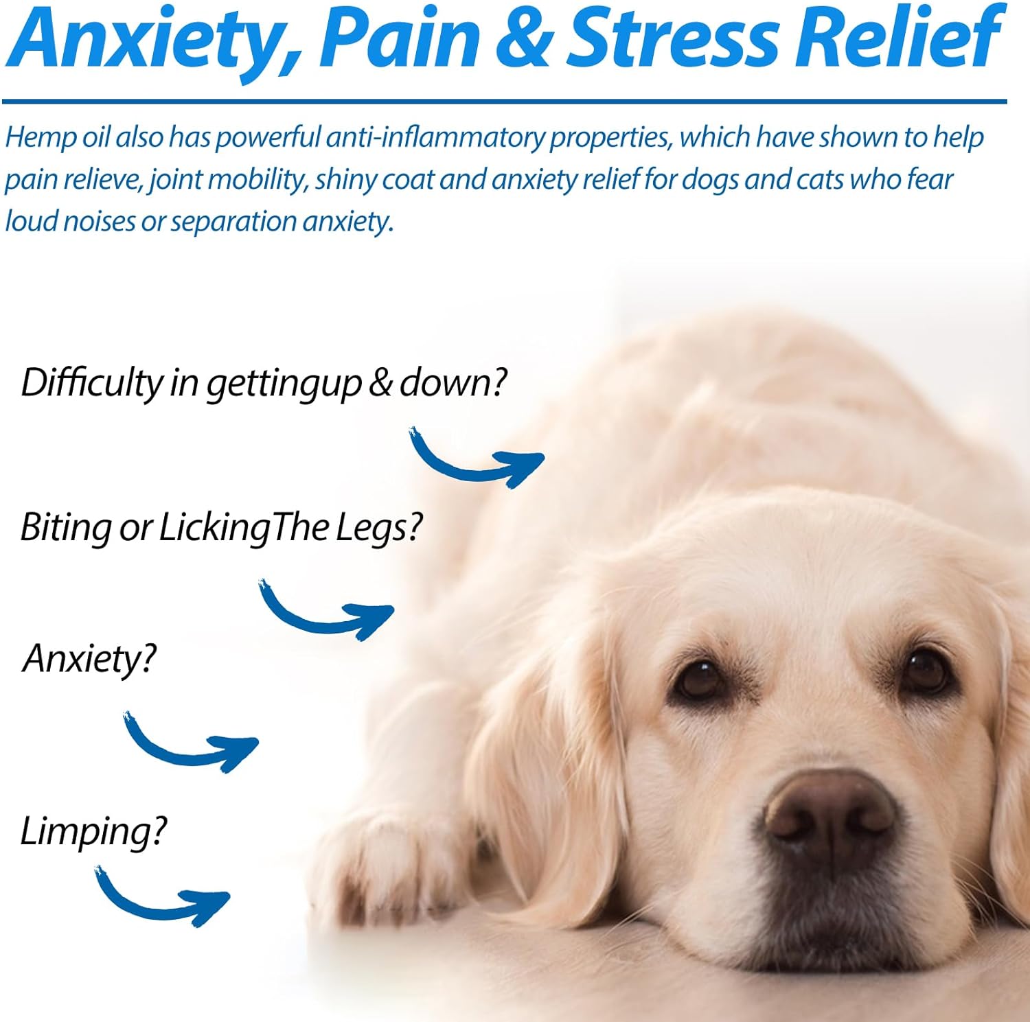 Premium USA imported pet oil for dog arthritis and anxiety relief next to dropper