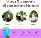 Packaging details highlighting omega fatty acids and golden yolk benefits