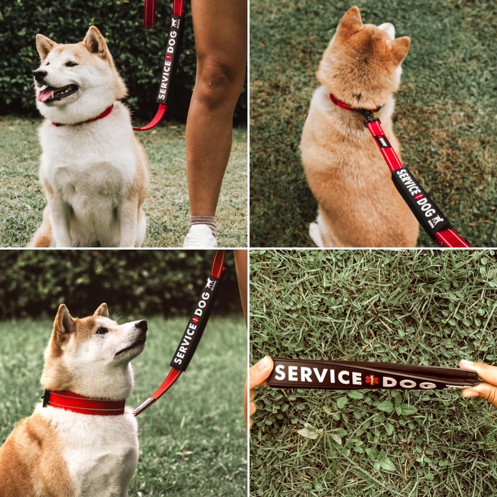 Premium weather resistant service dog vest accessory and leash wrap.