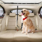 Universal cargo tie down setup for dog safety