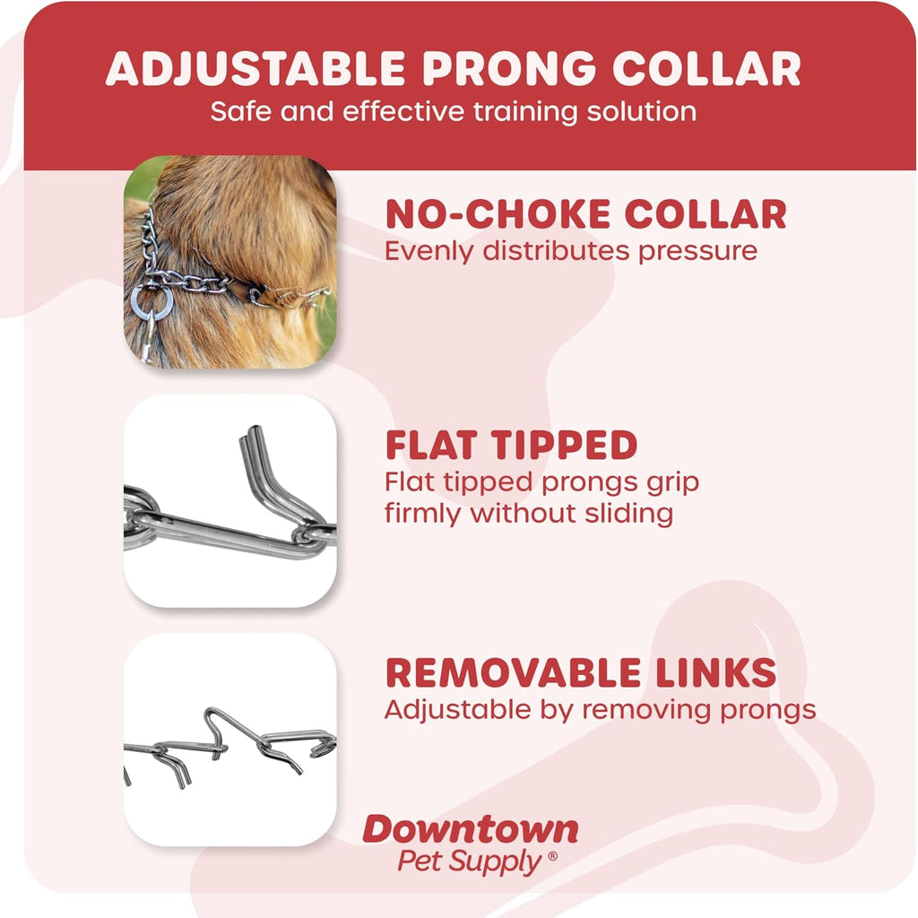 Downtown Pet Supply adjustable dog collar showing removable steel links