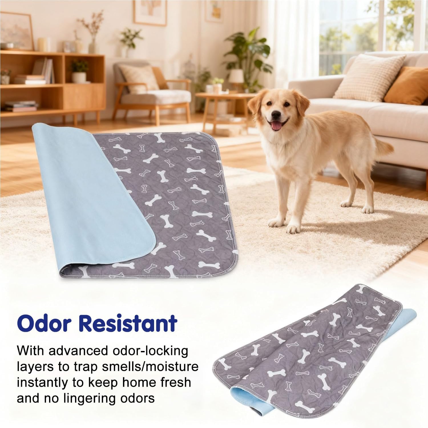 Kacitalone large size pet pee pad in home setting
