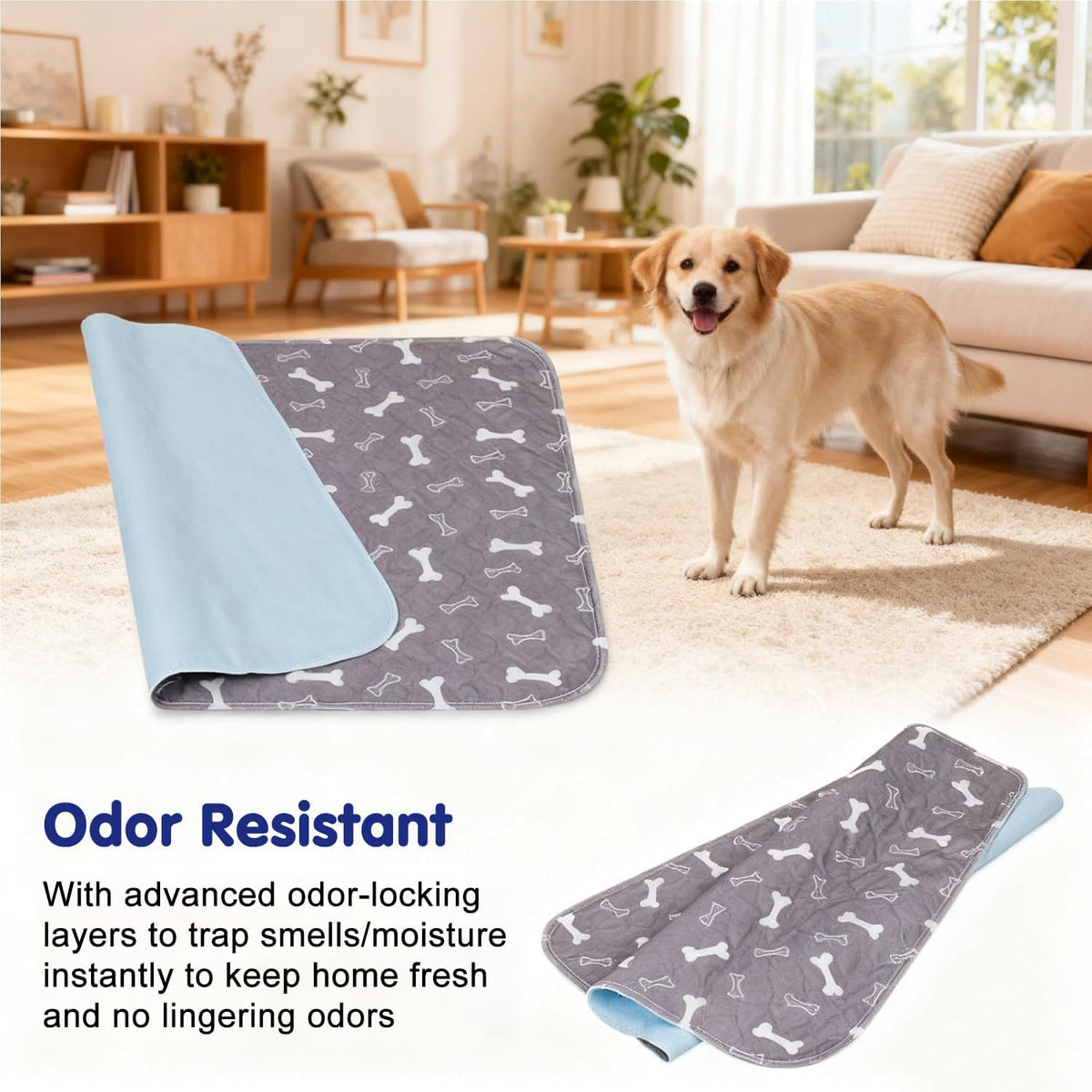 Kacitalone large size pet pee pad in home setting