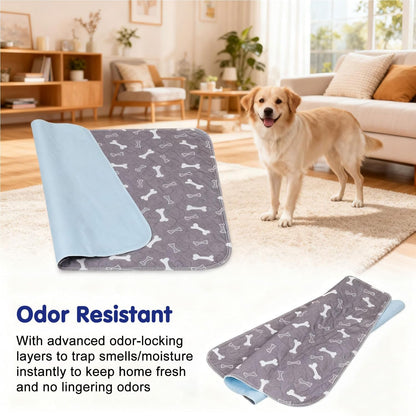Kacitalone large size pet pee pad in home setting