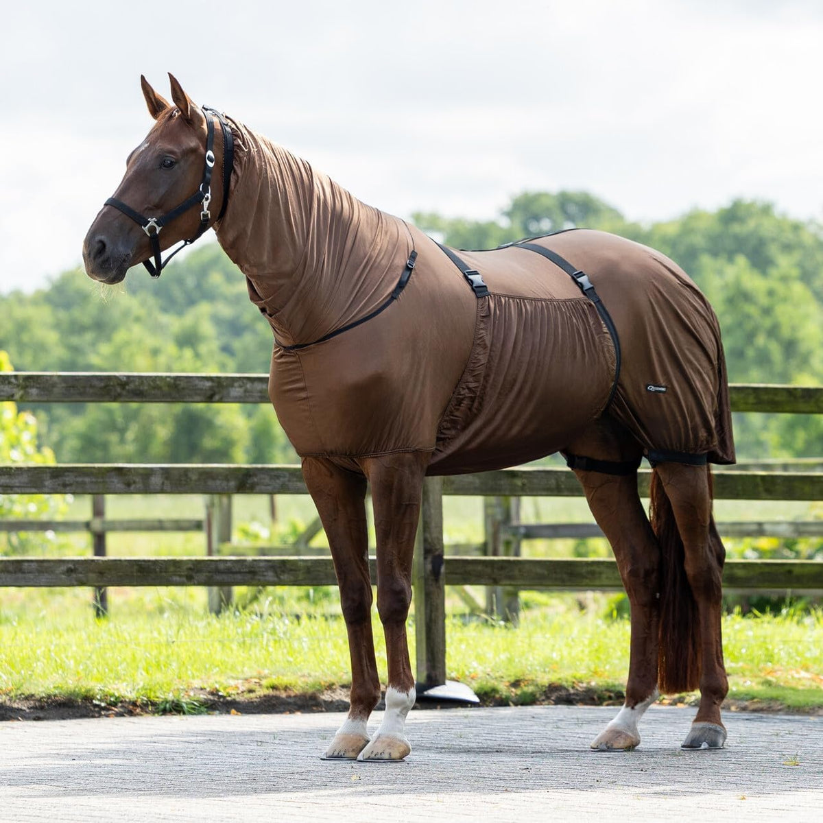 QHP Horse Fly Sheet front view showing full neck and chest coverage for summer turnout protection.
