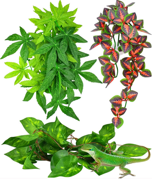 Katumo Reptile Plants 3 piece set for terrariums