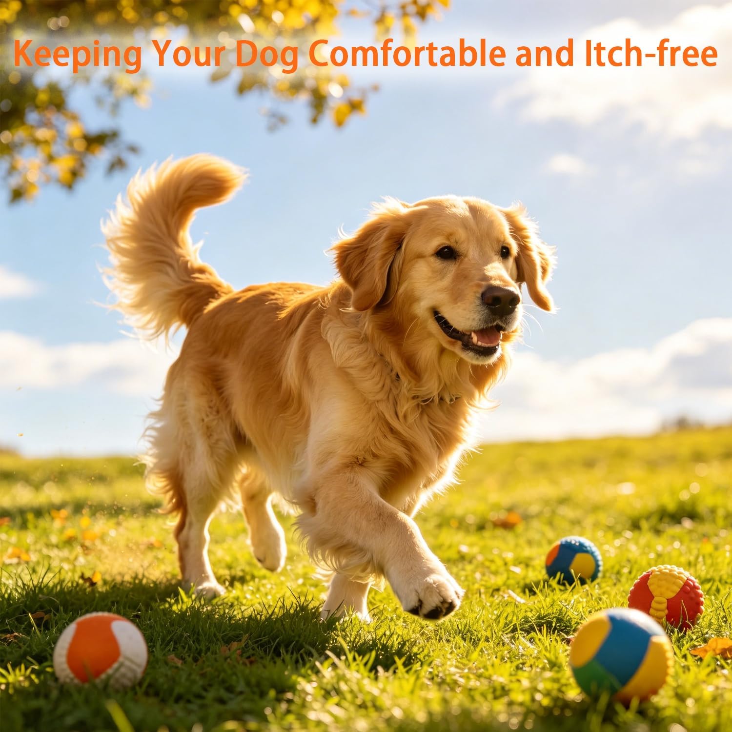MICHIDOG premium veterinarian formulated allergy chews daily feeding guidelines.