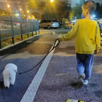 Mycicy heavy duty pet lead highlighting the metal safety lock clasp close up