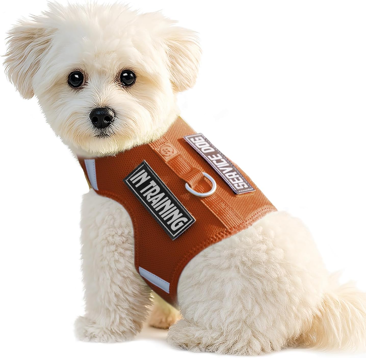 Dog Harness for Puppy - Adjustable Reflective Easy Put On Soft Mesh Vest for Small Dogs with 2 Patches (MARRS Green,XXS) - Image 14