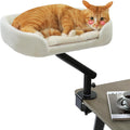 PAWZ Road cat desk bed white front view