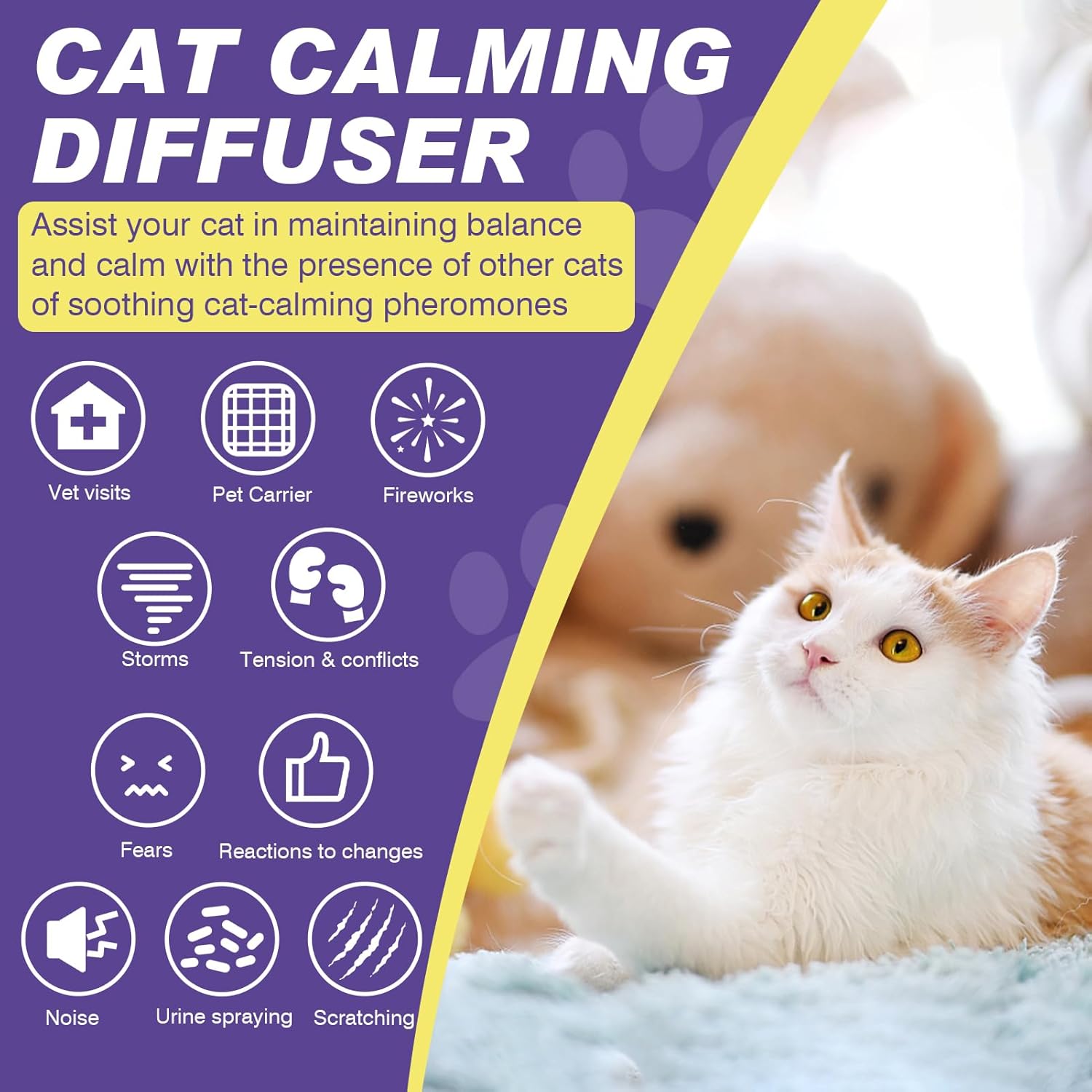 Calm domestic cat relaxing peacefully near an active plug-in calming diffuser.