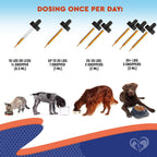 USA imported Beloved Pets prebiotic and probiotic pumpkin flavored drops