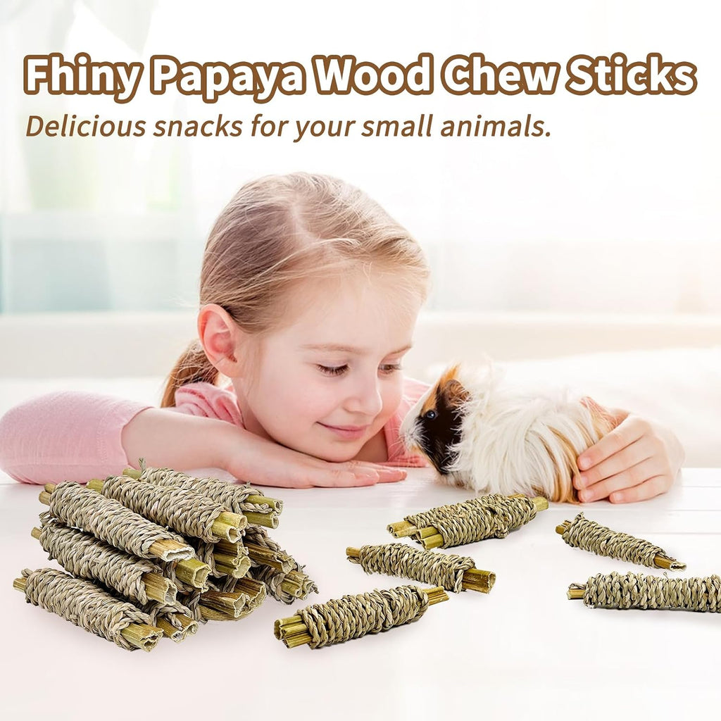 Fhiny dental care chew sticks pack showing the premium 12 count arrangement.
