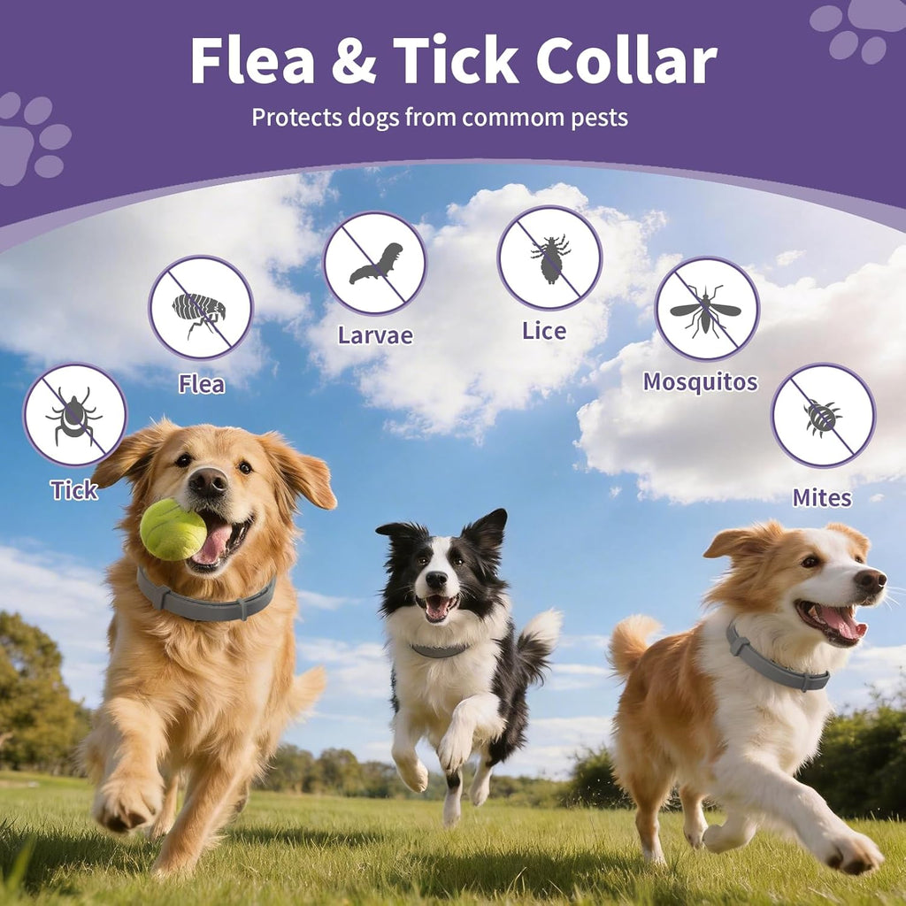 Grey waterproof flea and tick prevention collar for dogs