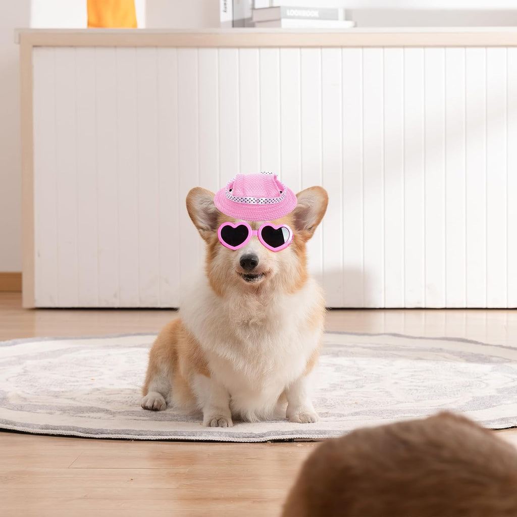 Matching heart themed sunglasses for dogs included in choyaxo set