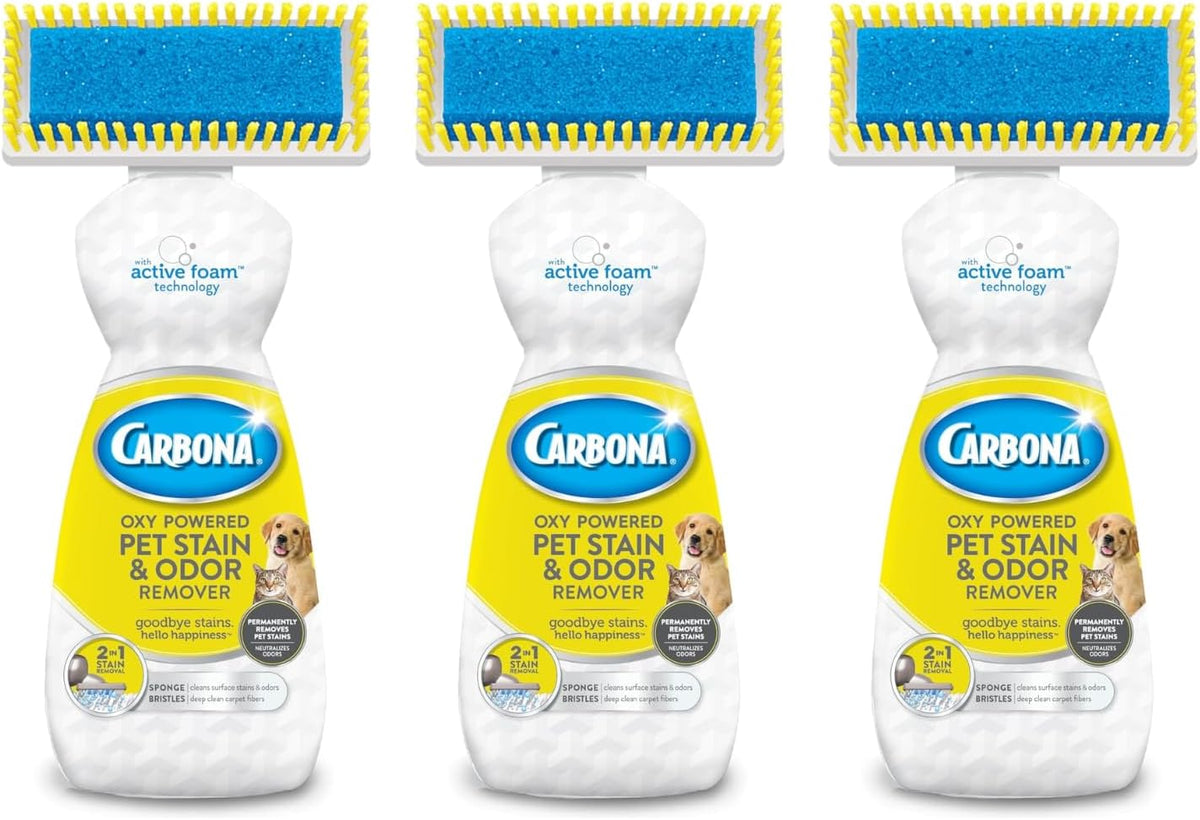 Carbona dual action sponge and brush carpet cleaner for pet stain removal