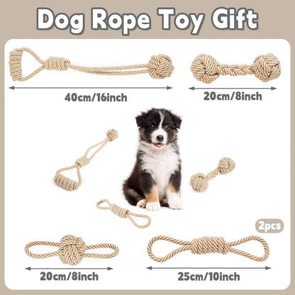 Small puppy playing happily with a durable natural cotton tug of war rope toy.