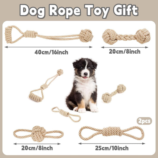 Small puppy playing happily with a durable natural cotton tug of war rope toy.