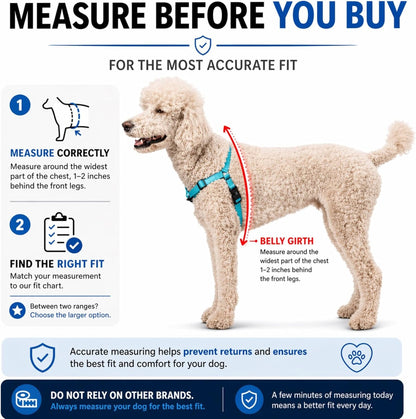 ShawnCo Dream Walk Pro Dog Harness- No-Pull, Comfortable, Adjustable, Easy to Use Pet Halter to Help Stop Pulling for Small, Medium and Large Dogs (ICY Lilac, Small) - Image 5