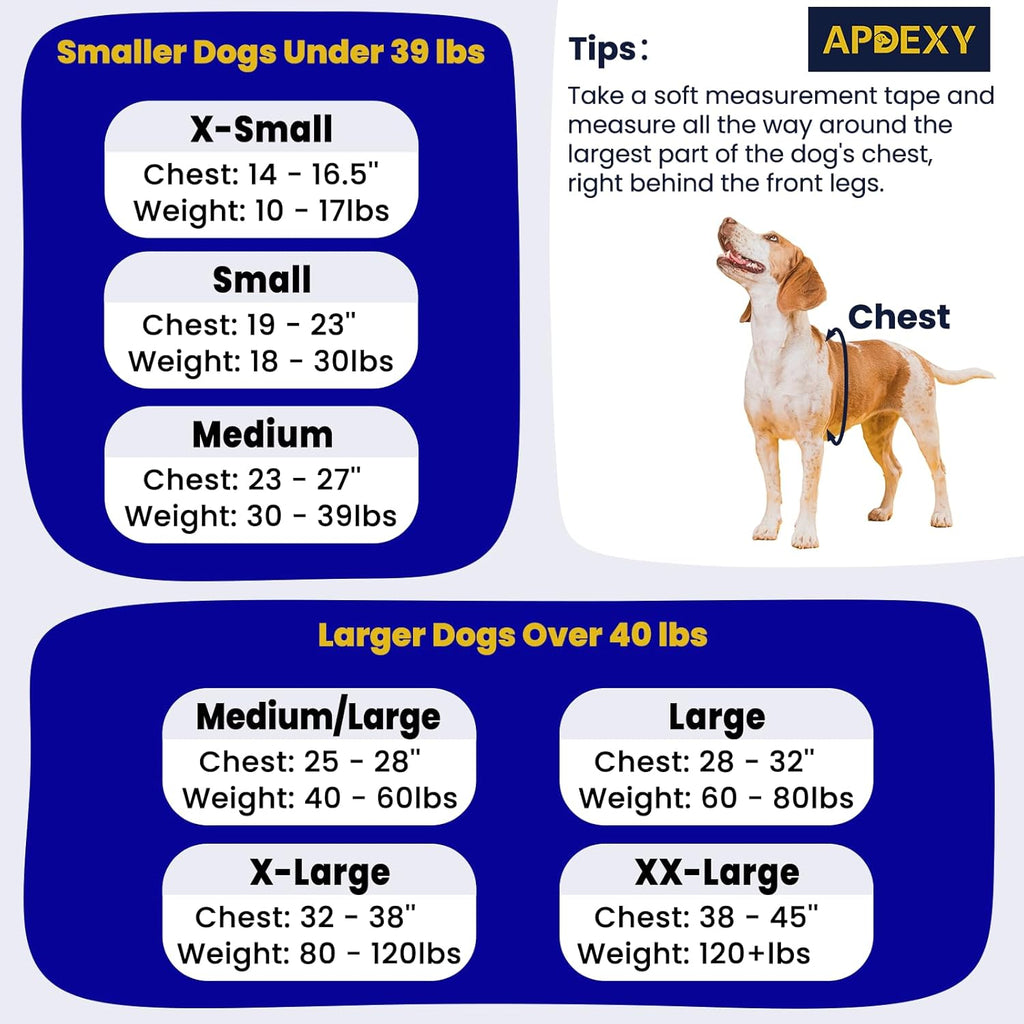 Side profile of dog in Apdexy freedom harness