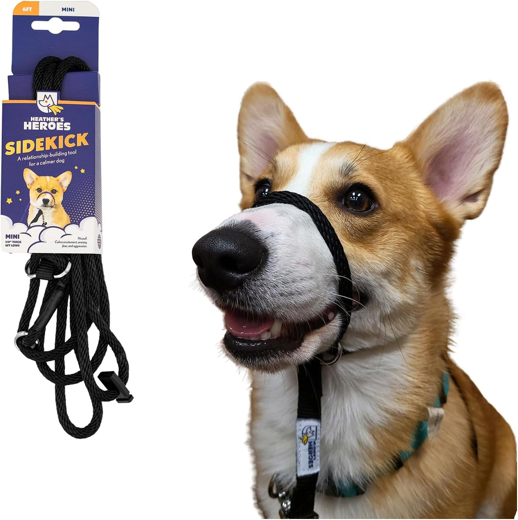 Heather's Heroes Sidekick Dog Headcollar with Leash - Sidekick Leash for Dogs, Effective Dog Training Tool for Leash Reactivity and Behavior Issues (Turquoise, Mini (1/4")) - Image 14