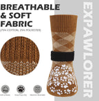 Medium breed dog walking comfortably in indoor socks
