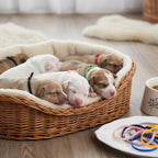 FdcLixuvol four inch whelping cords packaging view emphasizing safe non toxic accessories for domestic litters.