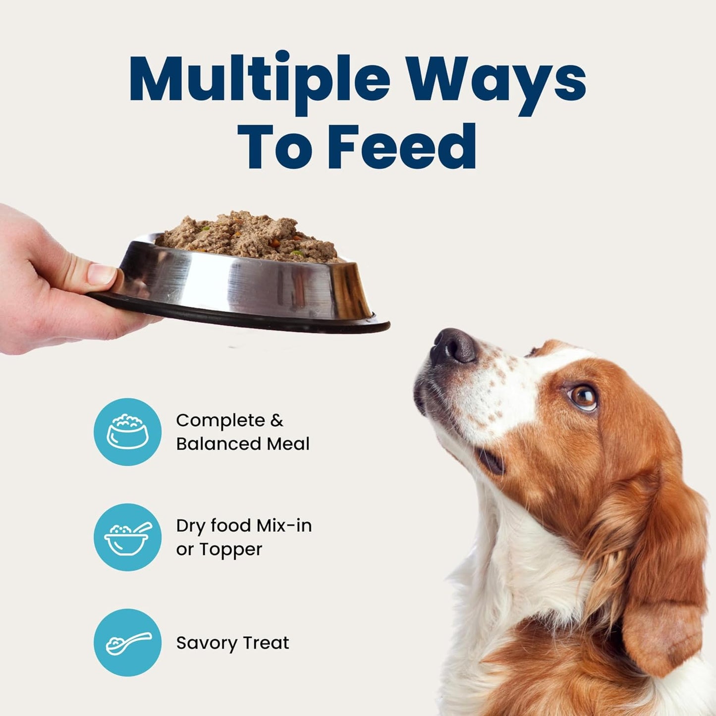 Wholesome patÃ© style wet dog food for weight control texture view