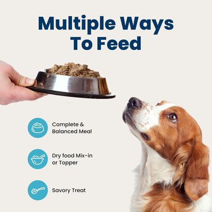 Wholesome patÃ© style wet dog food for weight control texture view