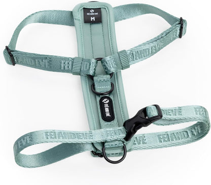 Fei & Eve Moxie Dog Harness for Small & Medium Dogs, Champagne, S | Lightweight Design, 3-Point No-Pull Control, Quick Release Metal Buckle - Image 10