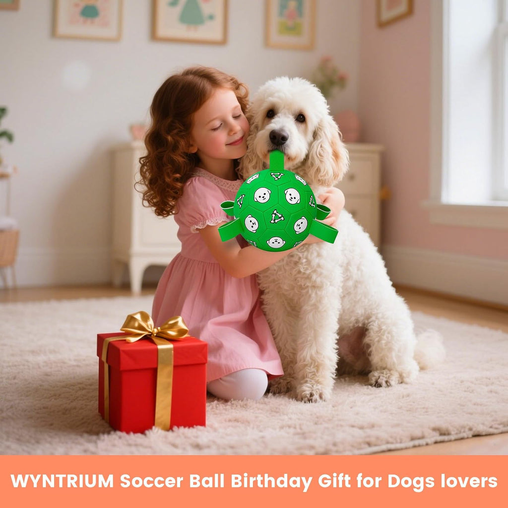 Wyntrium dog soccer ball and inflation pump accessories
