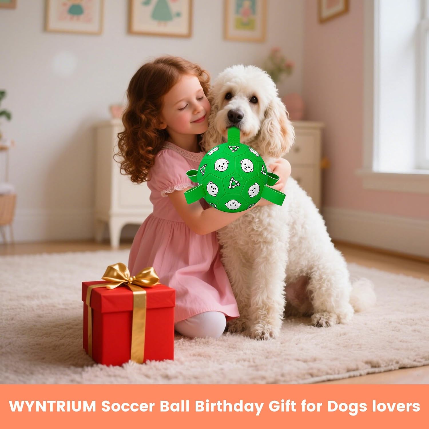 Wyntrium dog soccer ball and inflation pump accessories