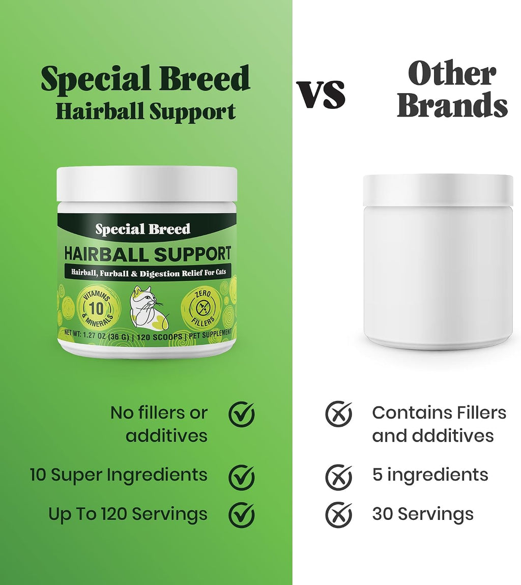 Natural ingredients graphic showcasing pumpkin, psyllium, and Omega-3s for cat skin and coat care