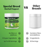Natural ingredients graphic showcasing pumpkin, psyllium, and Omega-3s for cat skin and coat care