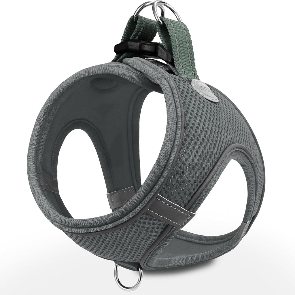 Joytale Small Dog Harness, Breathable Mesh Step-in Vest, Reflective Soft Padded Harnesses for Small and Medium Dogs, Black, M - Image 10